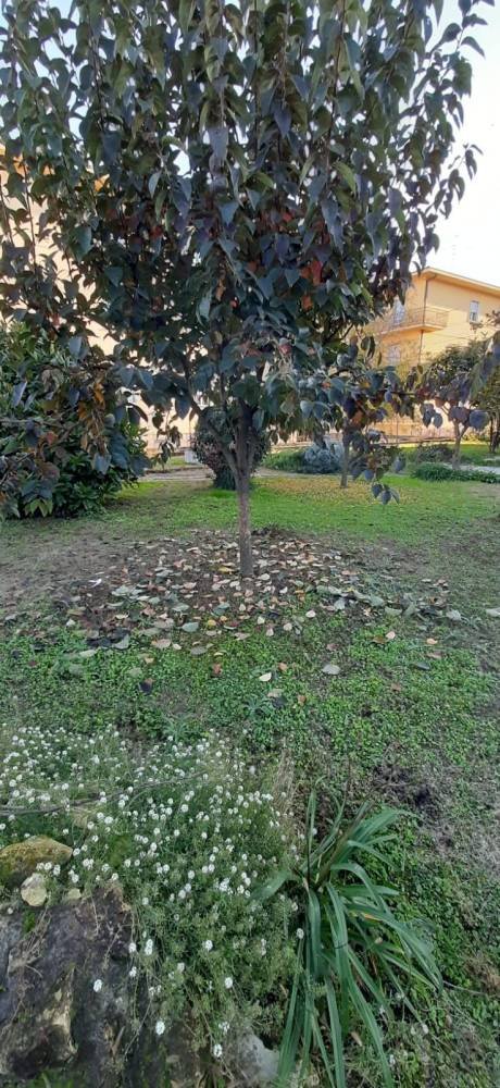 casa indipendente in vendita a San Giovanni Lupatoto