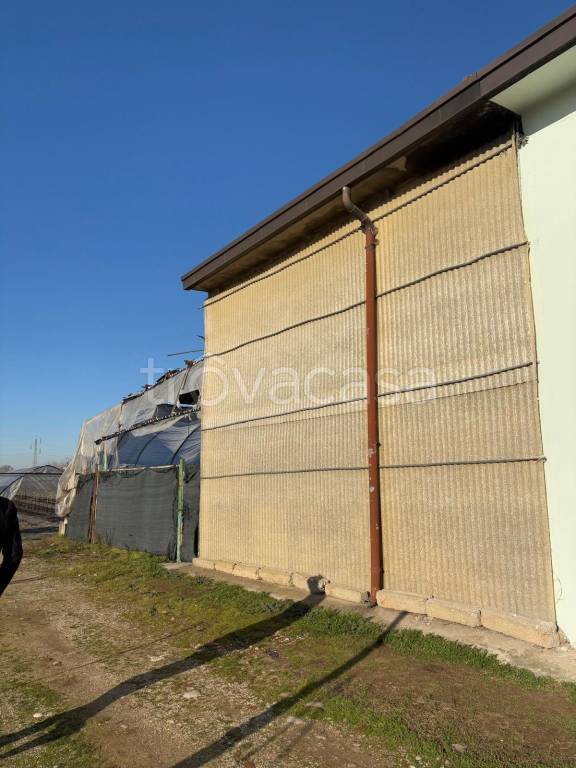 immagine annuncio 0 di 1