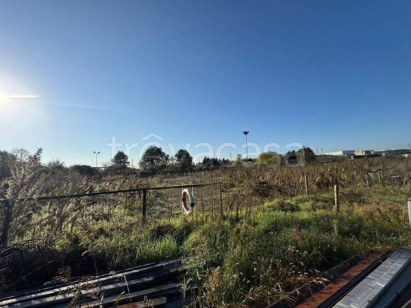 terreno agricolo in vendita a San Giovanni Lupatoto in zona Pozzo