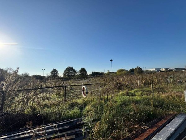 terreno agricolo in vendita a San Giovanni Lupatoto