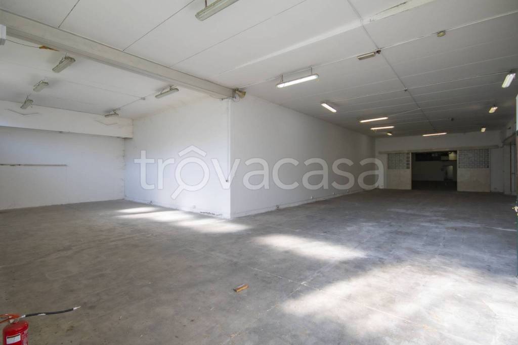 immagine annuncio 0 di 15