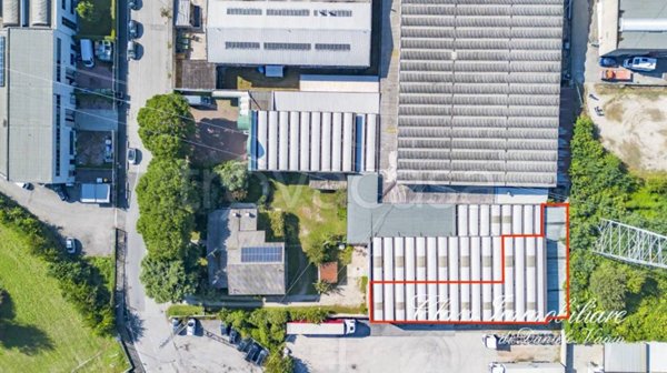 immagine annuncio 0 di 9