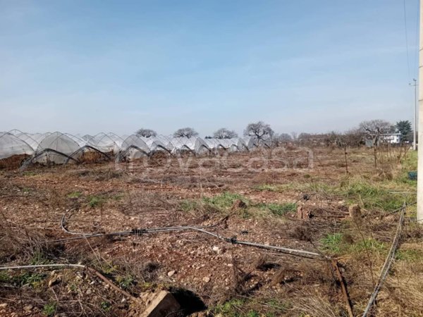 terreno agricolo in vendita a San Giovanni Lupatoto