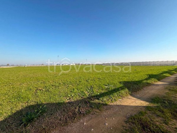terreno agricolo in vendita a San Giovanni Lupatoto in zona Pozzo