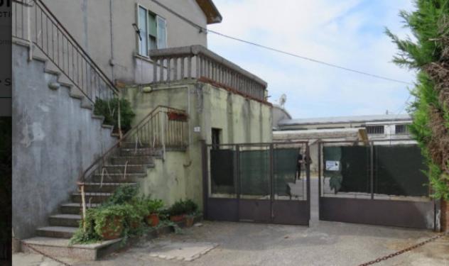 pentavano in vendita a Sanguinetto
