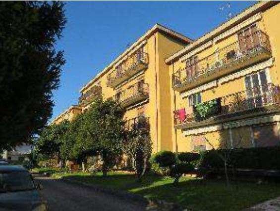 appartamento in vendita a Sanguinetto