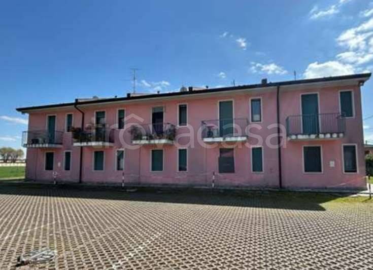 appartamento in vendita a Sanguinetto