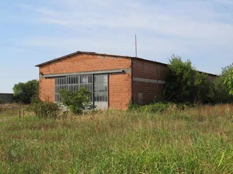capannone in vendita a Sanguinetto