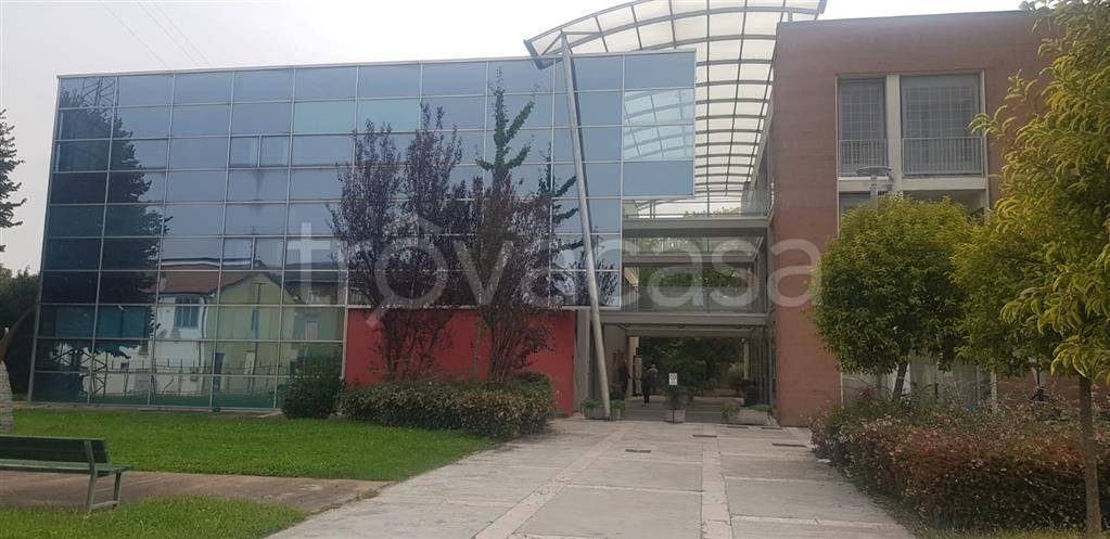 negozio in vendita a Sanguinetto in zona Venera