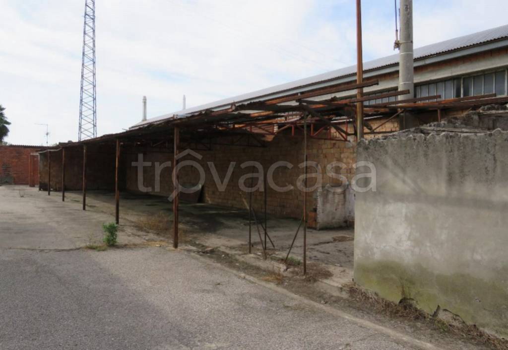 negozio in vendita a Sanguinetto