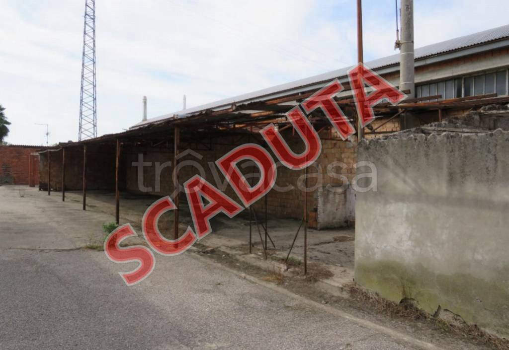 negozio in vendita a Sanguinetto