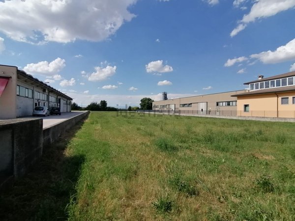 terreno in vendita a Sanguinetto in zona Venera