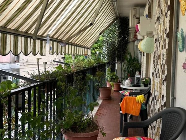 appartamento in vendita a San Martino Buon Albergo