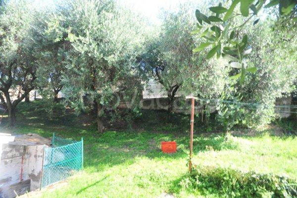 terreno edificabile in vendita a San Martino Buon Albergo