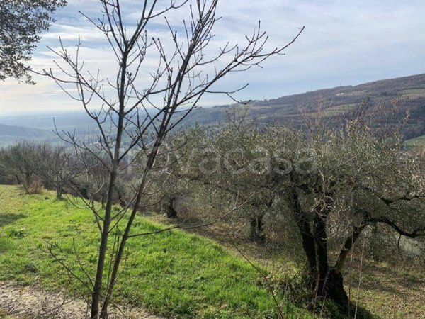 terreno agricolo in vendita a San Martino Buon Albergo