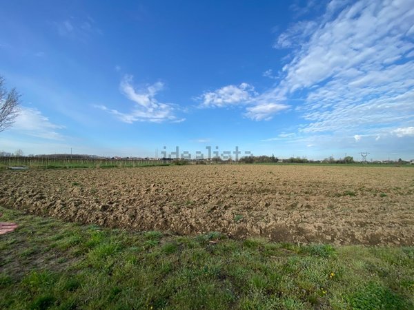 terreno agricolo in vendita a San Martino Buon Albergo