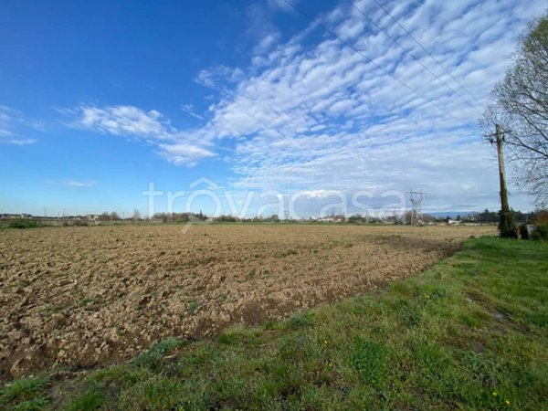 terreno agricolo in vendita a San Martino Buon Albergo