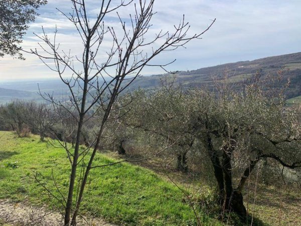 terreno agricolo in vendita a San Martino Buon Albergo