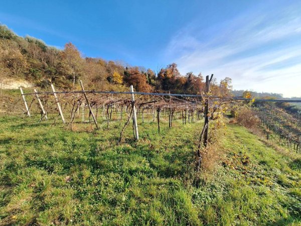 terreno agricolo in vendita a San Martino Buon Albergo