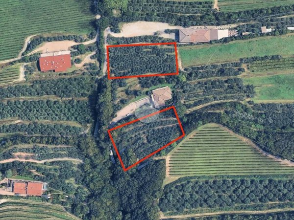 casa indipendente in vendita a San Martino Buon Albergo