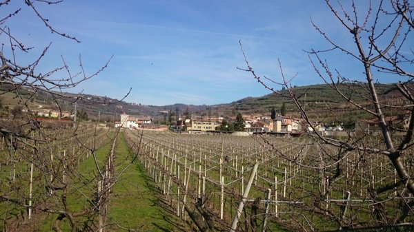 appartamento in vendita a San Martino Buon Albergo