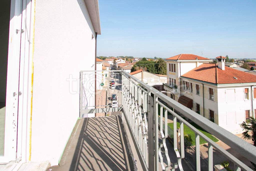 appartamento in vendita a San Pietro di Morubio