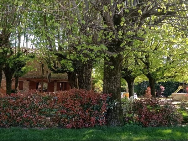 casa indipendente in vendita a San Pietro di Morubio in zona Bonavicina