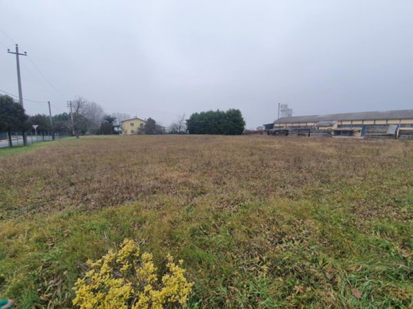 terreno edificabile in vendita a San Pietro di Morubio