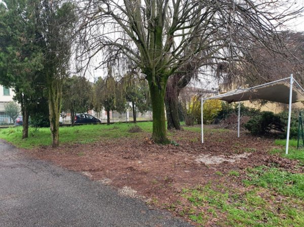 terreno edificabile in vendita a San Pietro di Morubio