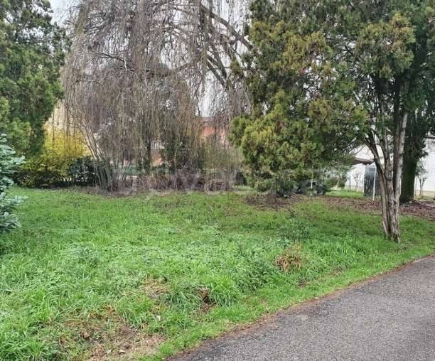 monolocale in vendita a San Pietro di Morubio in zona Bonavicina