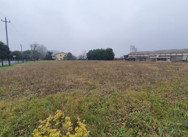 terreno edificabile in vendita a San Pietro di Morubio