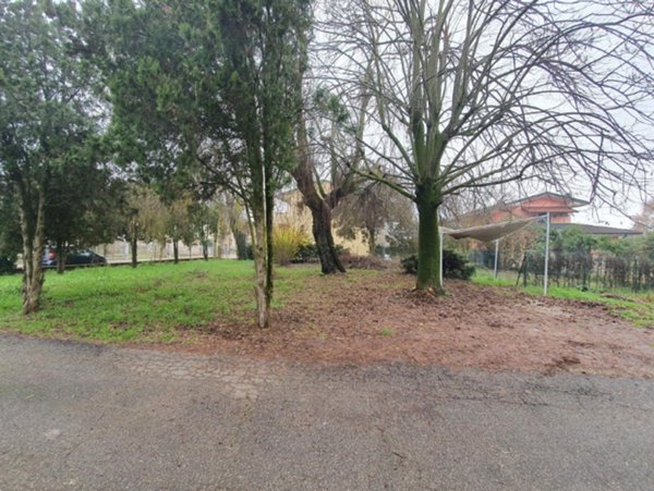 terreno edificabile in vendita a San Pietro di Morubio