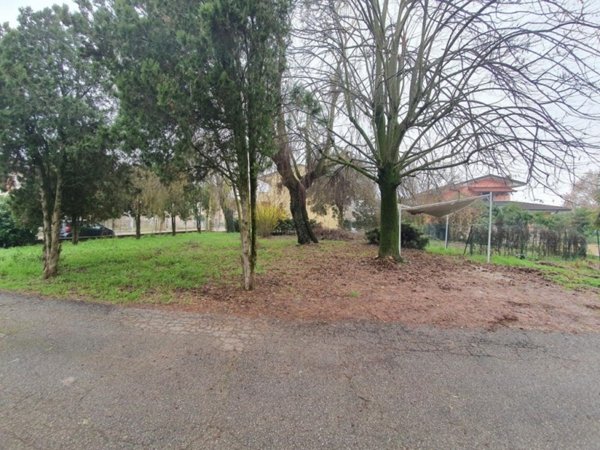 terreno agricolo in vendita a San Pietro di Morubio