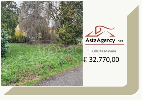 terreno agricolo in vendita a San Pietro di Morubio in zona Bonavicina