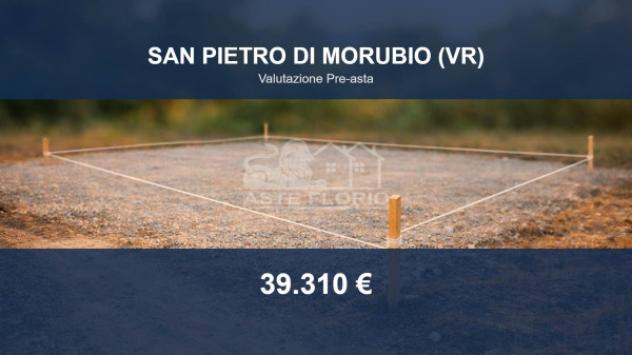 terreno agricolo in vendita a San Pietro di Morubio
