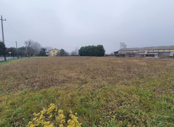terreno in vendita a San Pietro di Morubio