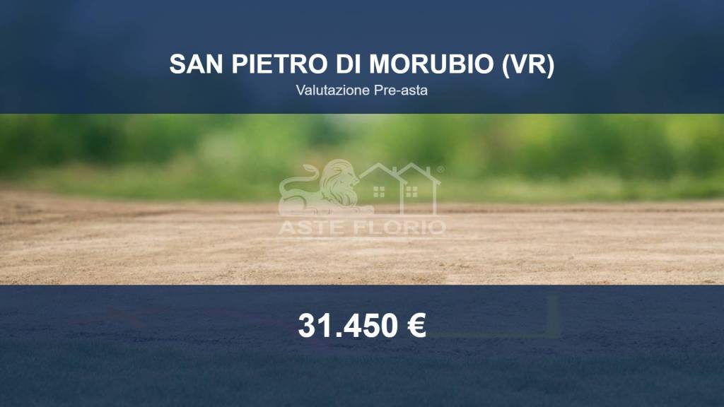 terreno in vendita a San Pietro di Morubio