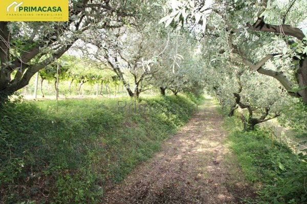 terreno agricolo in vendita a San Pietro in Cariano in zona San Floriano