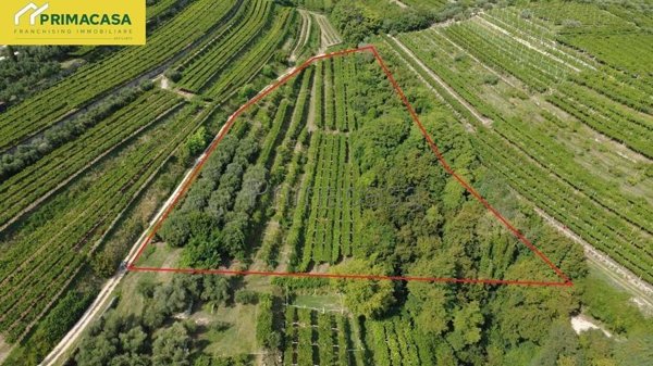 terreno agricolo in vendita a San Pietro in Cariano