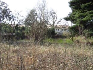 terreno edificabile in vendita a San Pietro in Cariano in zona Pedemonte