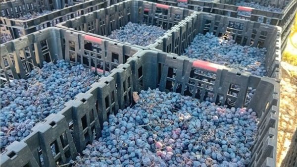 negozio in vendita a San Pietro in Cariano