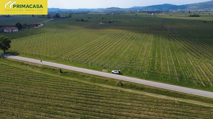 terreno agricolo in vendita a San Pietro in Cariano