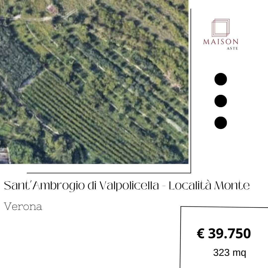 terreno edificabile in vendita a Sant'Ambrogio di Valpolicella in zona Monte