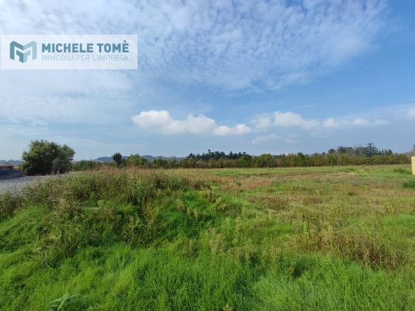 terreno agricolo in vendita a Sant'Ambrogio di Valpolicella in zona Domegliara