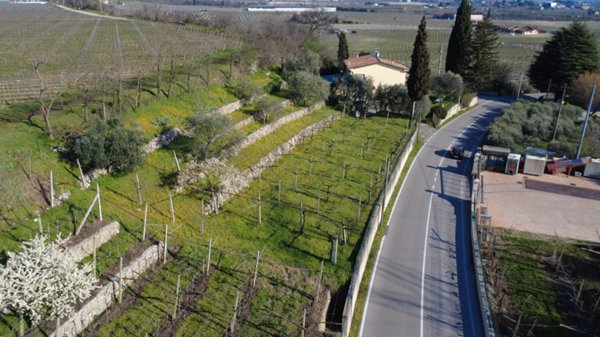 terreno agricolo in vendita a Sant'Ambrogio di Valpolicella