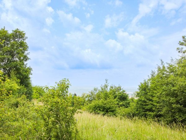 terreno agricolo in vendita a Sant'Ambrogio di Valpolicella in zona Monte