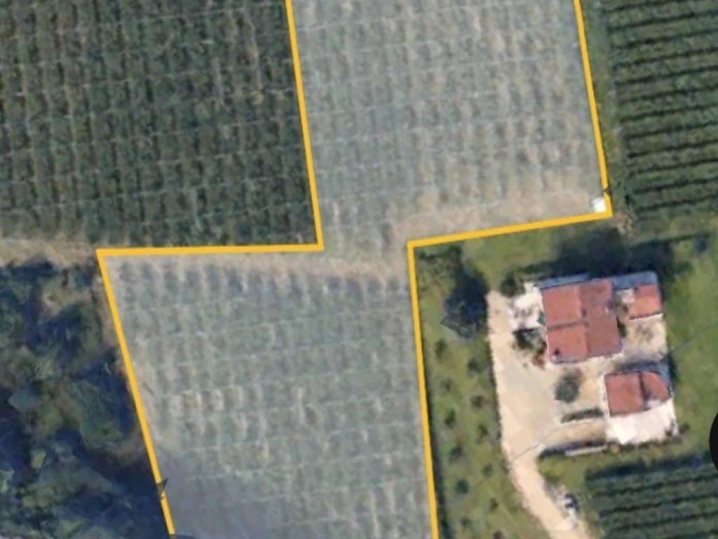 terreno agricolo in vendita a Sant'Ambrogio di Valpolicella