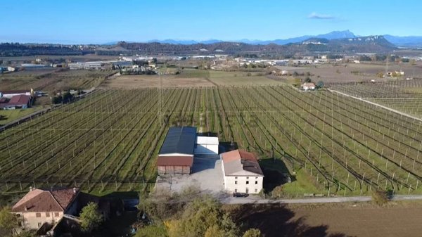 azienda agricola in vendita a Sant'Ambrogio di Valpolicella