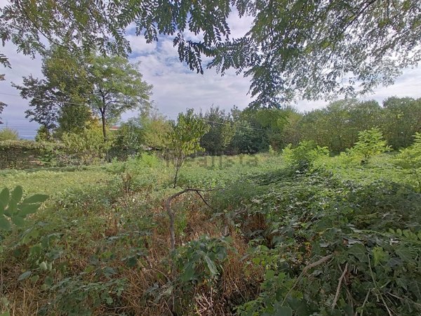 terreno agricolo in vendita a Sant'Ambrogio di Valpolicella