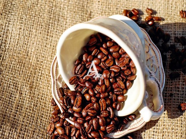 appartamento in vendita a Sant'Ambrogio di Valpolicella